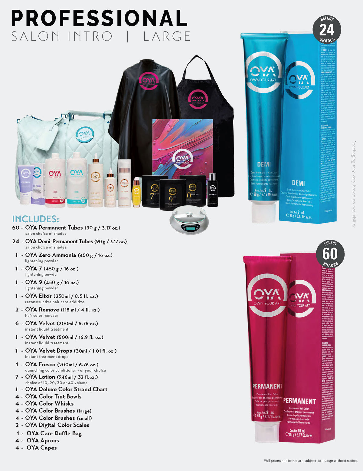 2026/2027 Professional Salon Intro | Large
